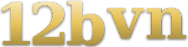12bvn logo